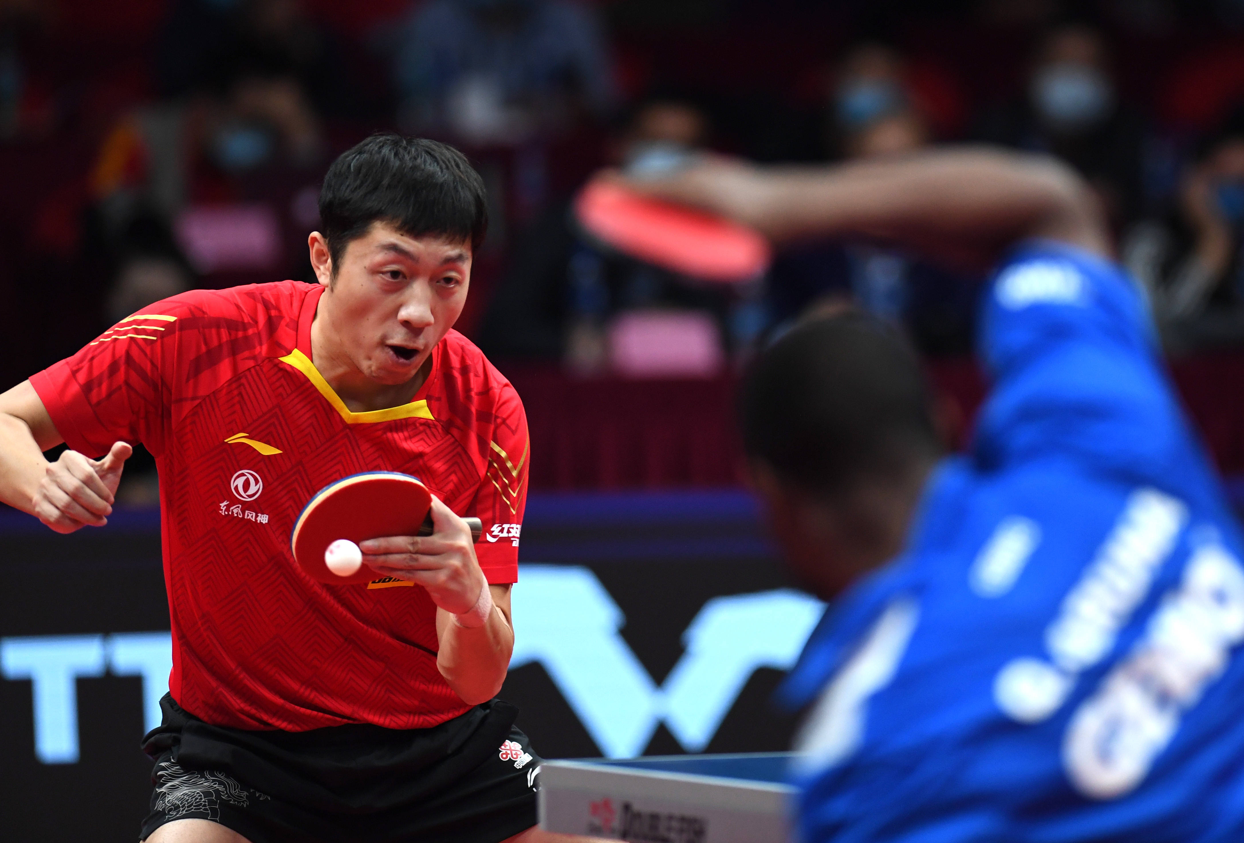 关于比利时乒乓球队强势奥地利乒乓球队，许昕惊艳世界的信息