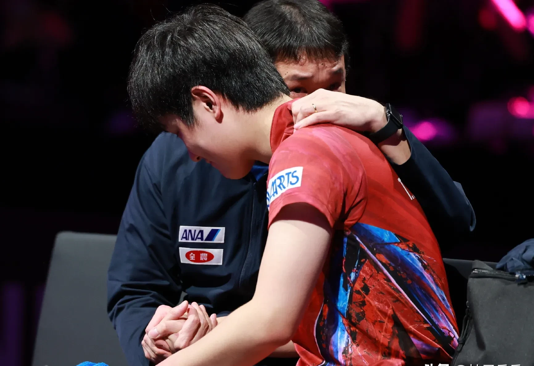 包含波兰队碾压韩国队，张本智和刷新纪录的词条