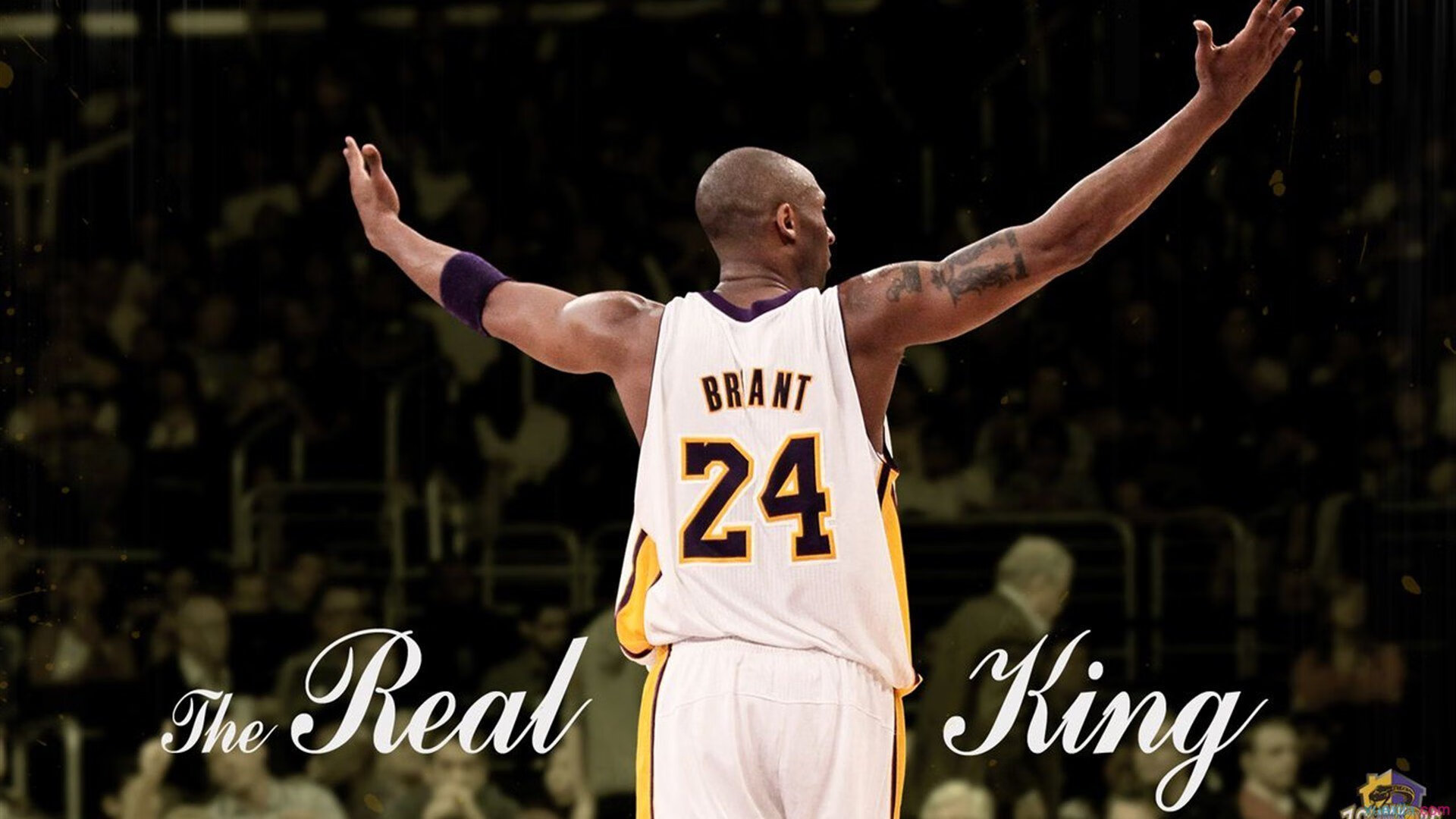 萨卡统治全场，威尔士强势晋级智利—红龙军团书写新传奇